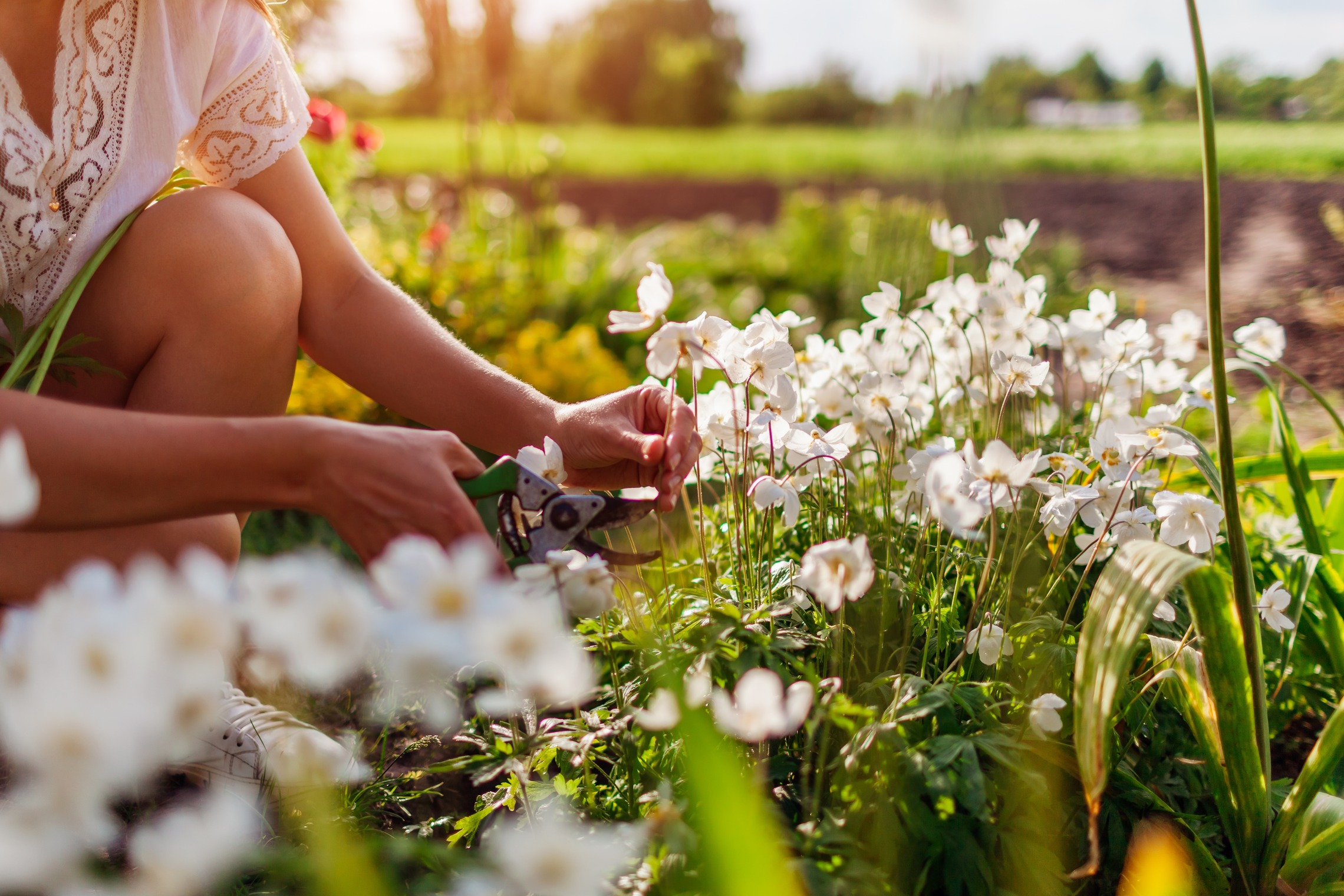 Gut abgesichert in die Gartensaison